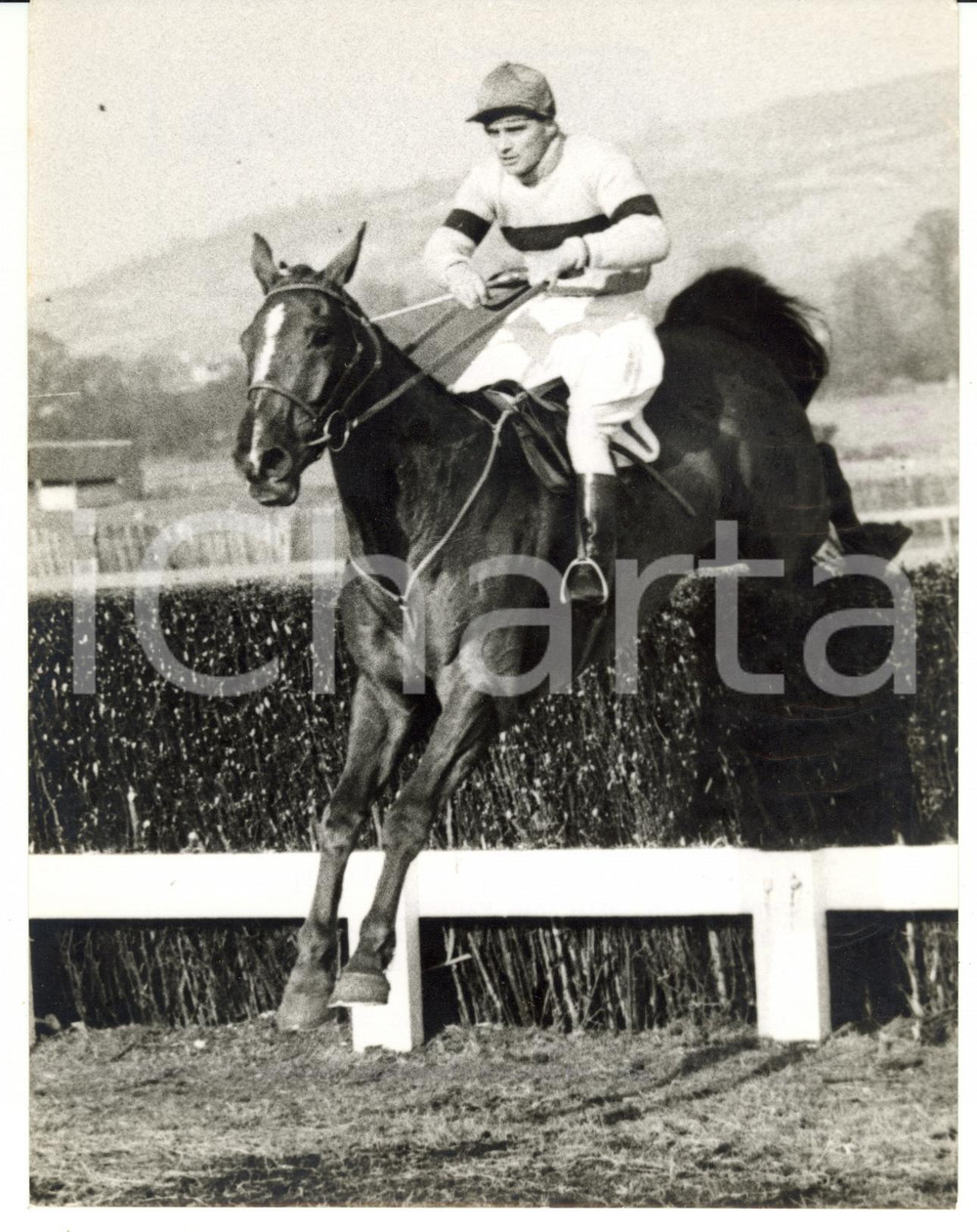 1958 DONCASTER Great Yorkshire Chase - Jimmy POWER on LIMBER HILL *Photo 15x20