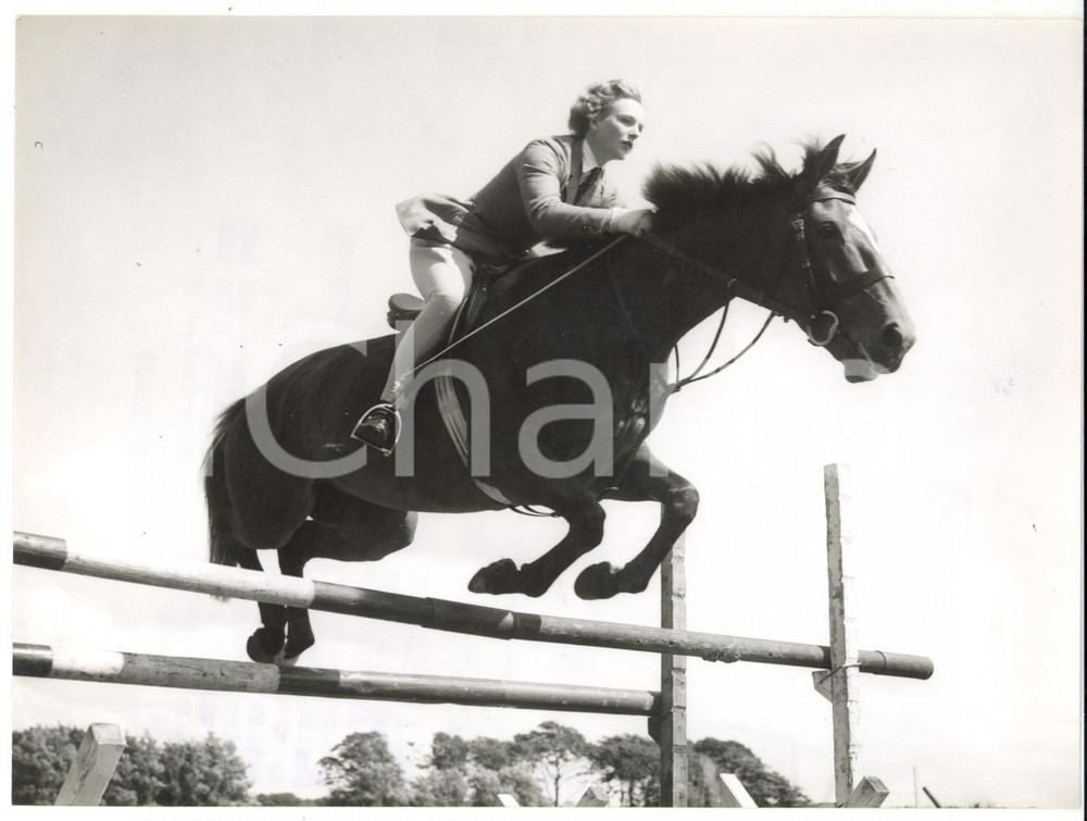 1958 HORSE RACING Sheila WILLCOX on AIRS AND GRACES during a training session