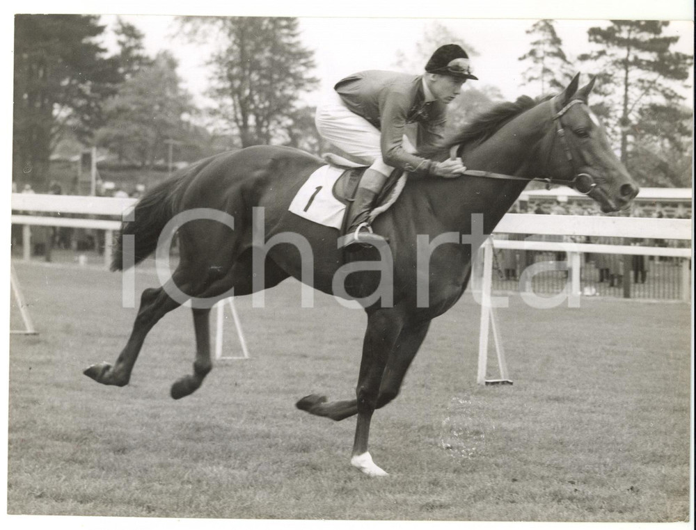 1958 EPSOM Lester PIGGOTT riding SNOW CAT entry for the Derby *Photo