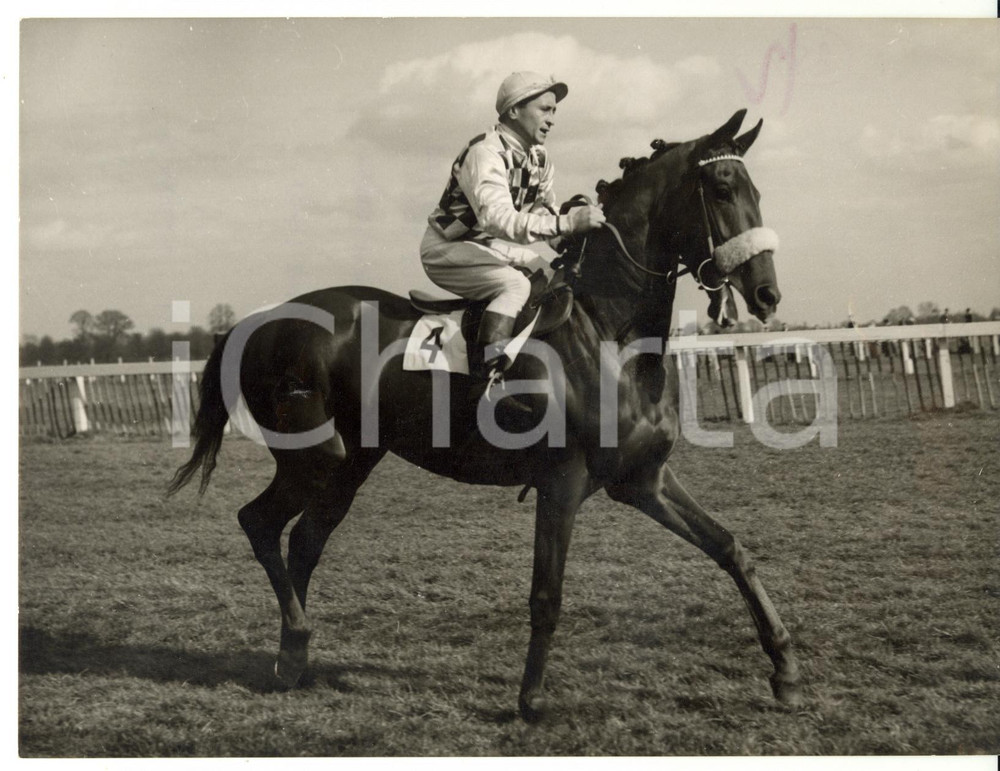 1955 ARUNDEL Colt SQUARE DANCE partnered by Frankie DURR during the training