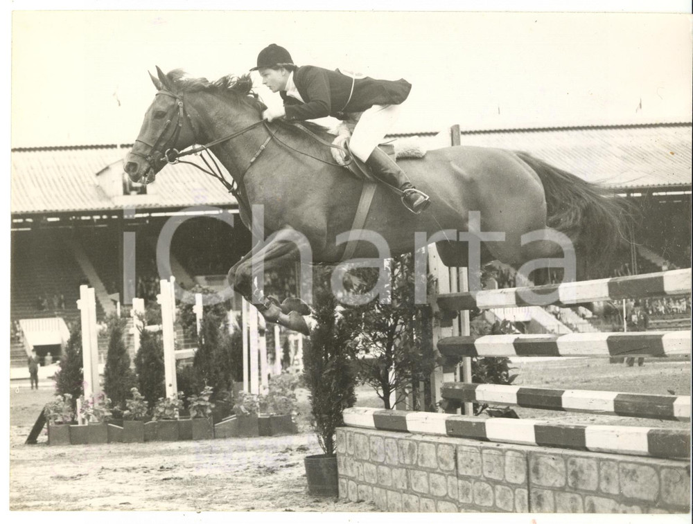 1953 LONDON Ladies Debutante Jumping - Pat SMYTHE on PRINCE HAL *Photo