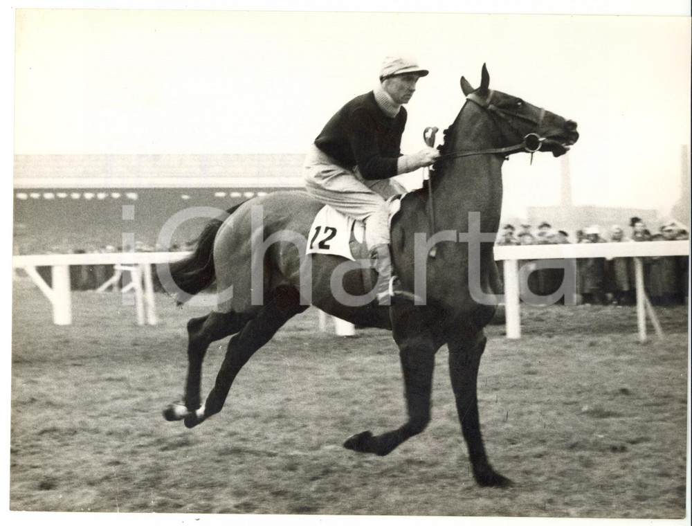 1957 AINTREE - ATHENIAN trained by Derek ANCIL for Grand National *Photo 15x20