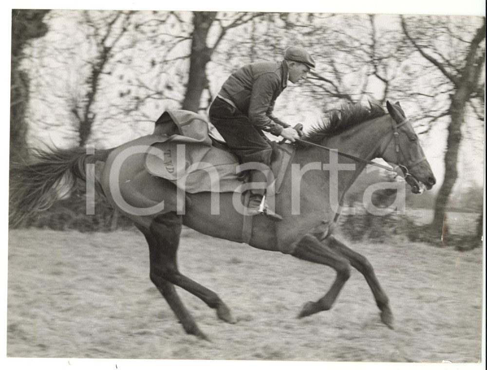 1959 KILLSALLAGHAN - SLIPPERY SERPENT during an outing with Tom DREAPER *Photo
