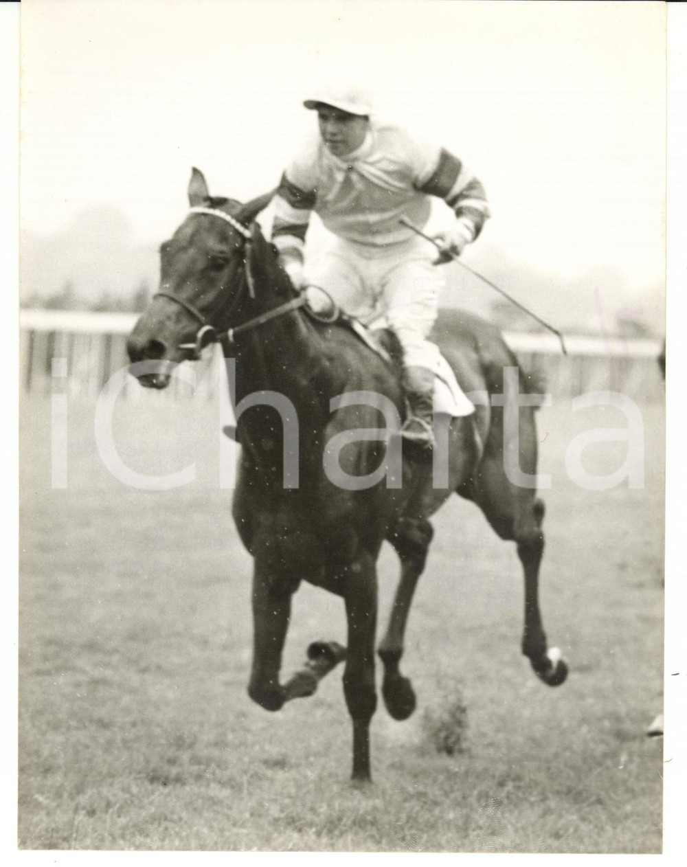 1957 NEWMARKET - RED LETTER ridden by Geoff LEWIS *Photo 15x20