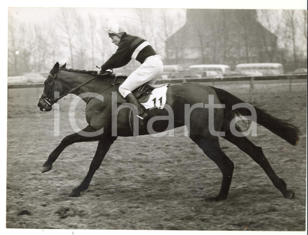 1959 HORSE RACING - WILD WISDOM trained by John LEIGH for Grand National *Photo