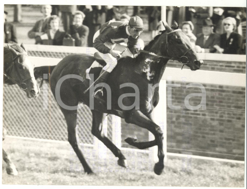 1957 MALTON William RICKABY on DIONISO during the training *Photo 20x15
