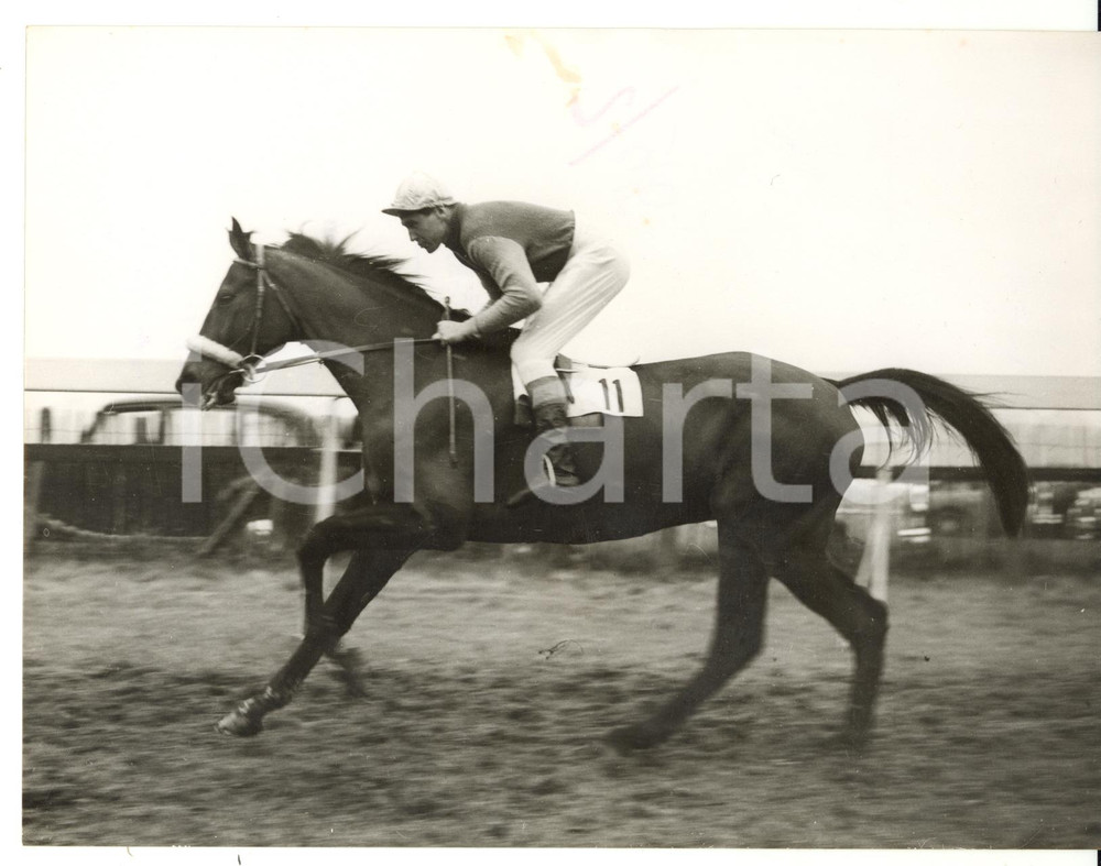 1958 AINTREE Grand National - GLENMADE ridden by Arthur FREEMAN *Photo 20x15
