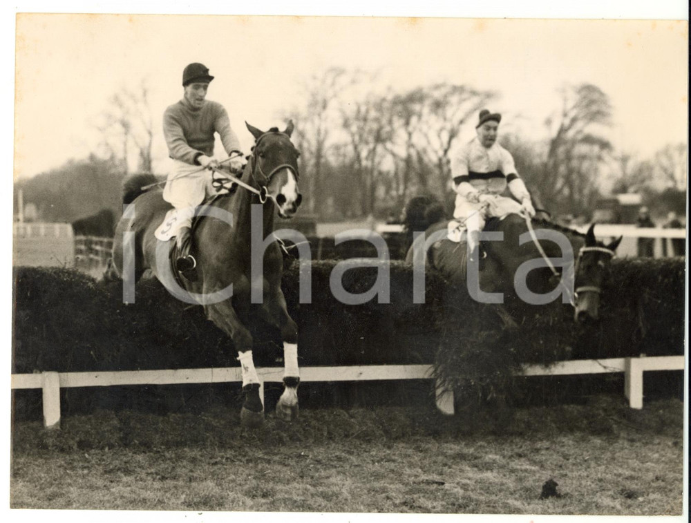 1956 WINDSOR Steeplechase Handicap - Derek ANCIL taking the fence on SPARTLETON