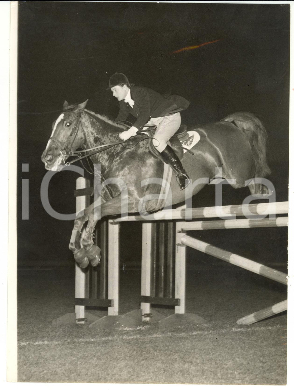 1956 LONDON - Cavalcade of Sport - Pat SMYTHE taking the last fence on FLANAGAN
