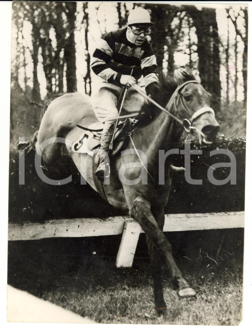 1957 GOWRAN PARK Thyestes Chase - Francis SHORTT jumping on SANDY JANE II *Photo
