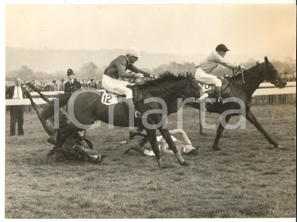 1957 CHELTENHAM Champion Hurdle - Derek LESLIE on PEGGY JONES after falling