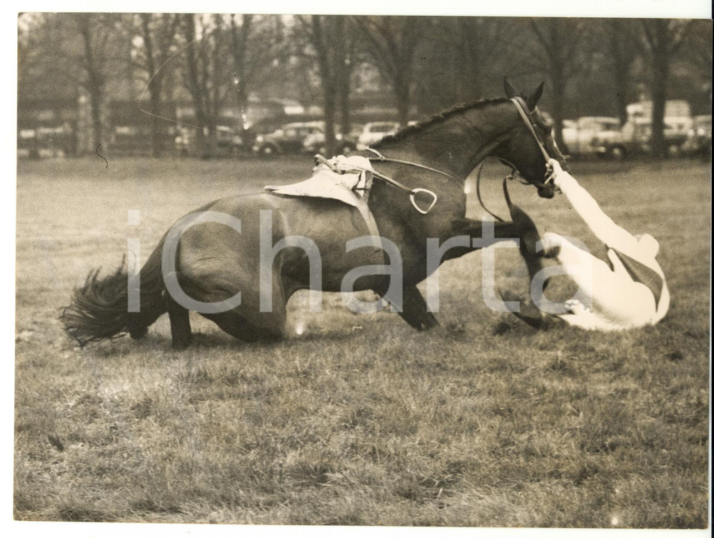 1957 SANDOWN PARK Handicap Chase - R. McCREERY on TOTAL LOSS during the fall