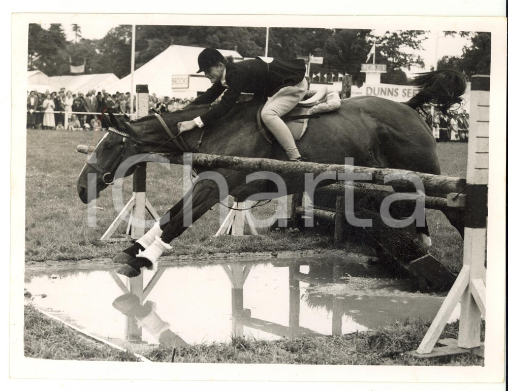1955 HORSHAM Royal Counties Show - PETRONELLA crashing into the obstacle *Photo