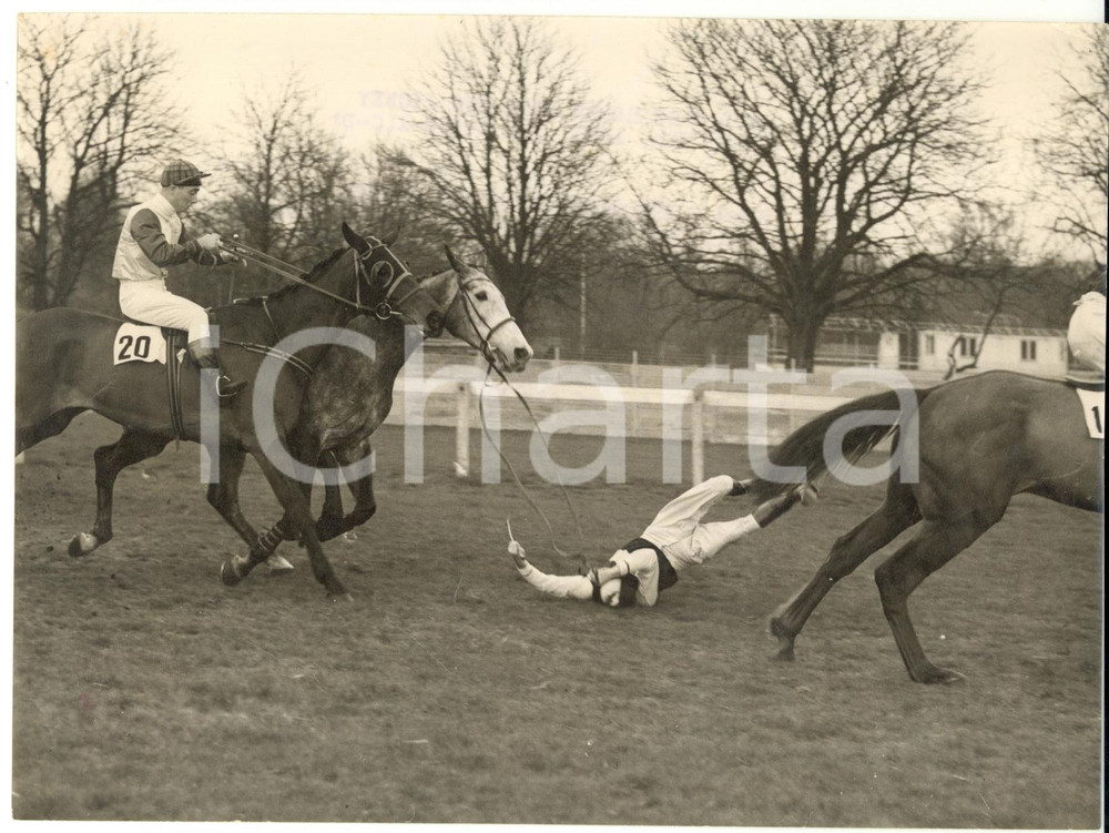 1953 HURST PARK Novices Chase - Fall of R. FRANCIS on CHEWTON *Photo 20x15
