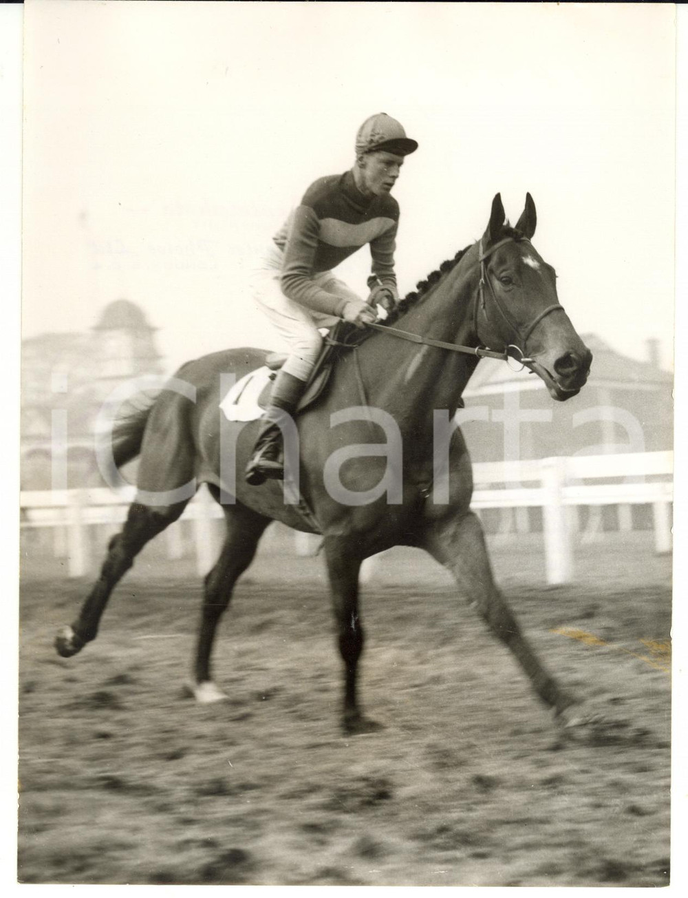 1956 LONDON Training of QUARE TIMES trained by Pat TAAFFE *Photo 15x20