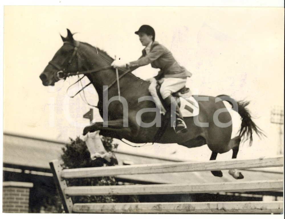 1953 LONDON Queen Elizabeth II Cup - Natalie PERRONE on VOLTIGEUR taking a jump
