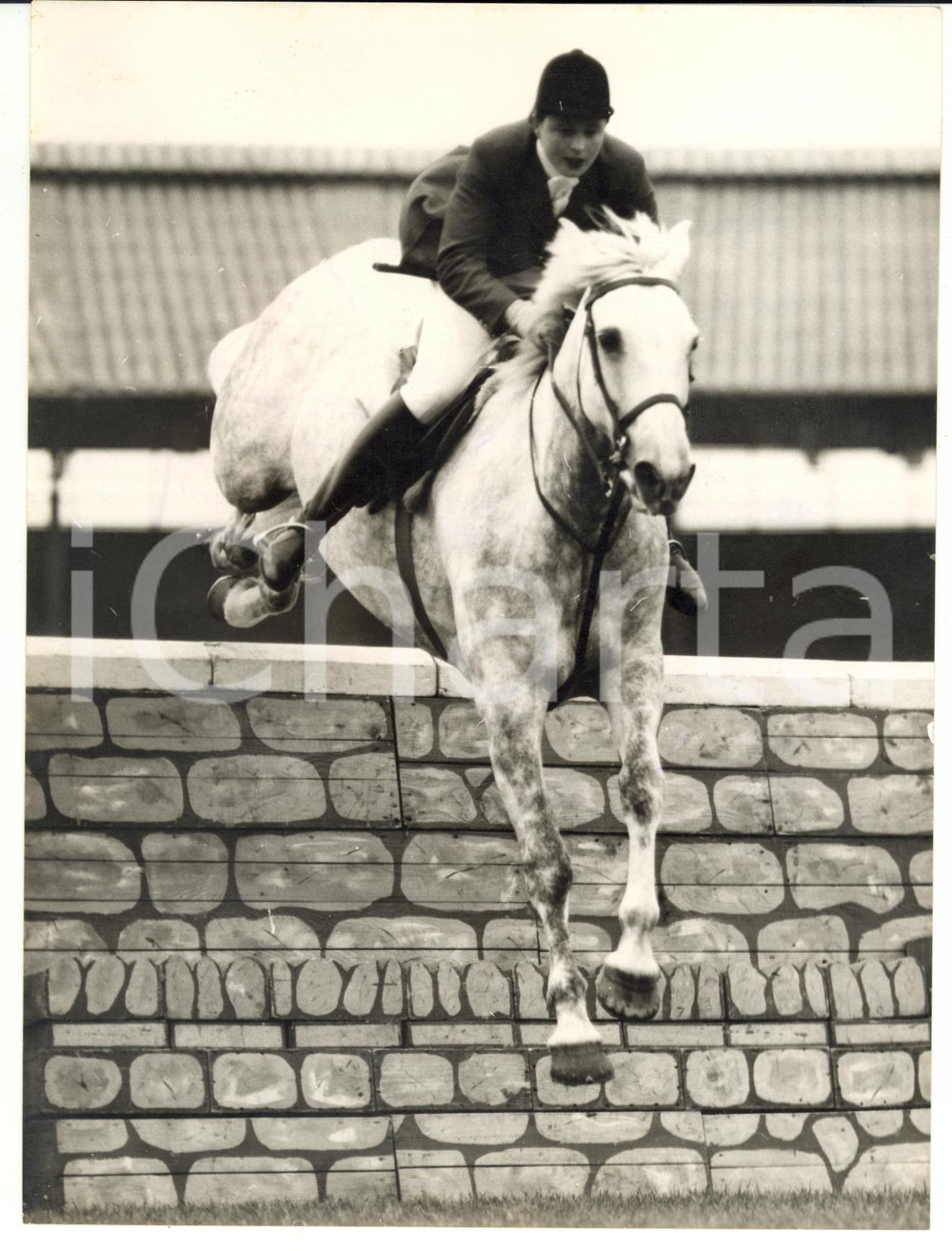 1955 LONDON Trial Stakes - Pat SMYTHE riding TOSCA taking the wall jump *Photo