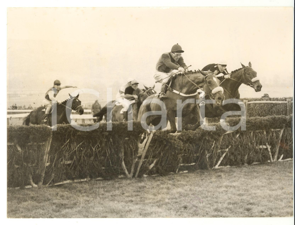 1956 CHELTENHAM Champion Hurdle Challenge Cup - Harry SPRAGUE on DOORKNOCKER