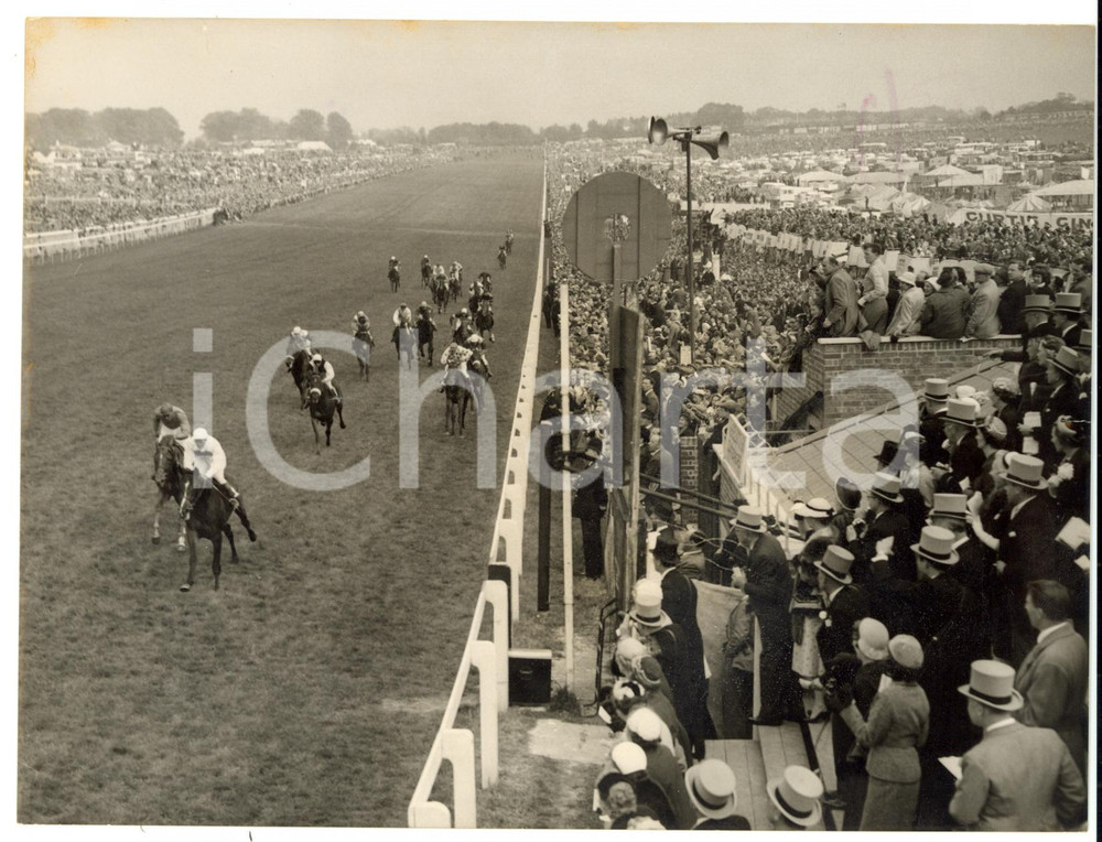 1955 EPSOM DERBY - PHIL DRAKE ridden by Freddie PALMER winning the race *Photo