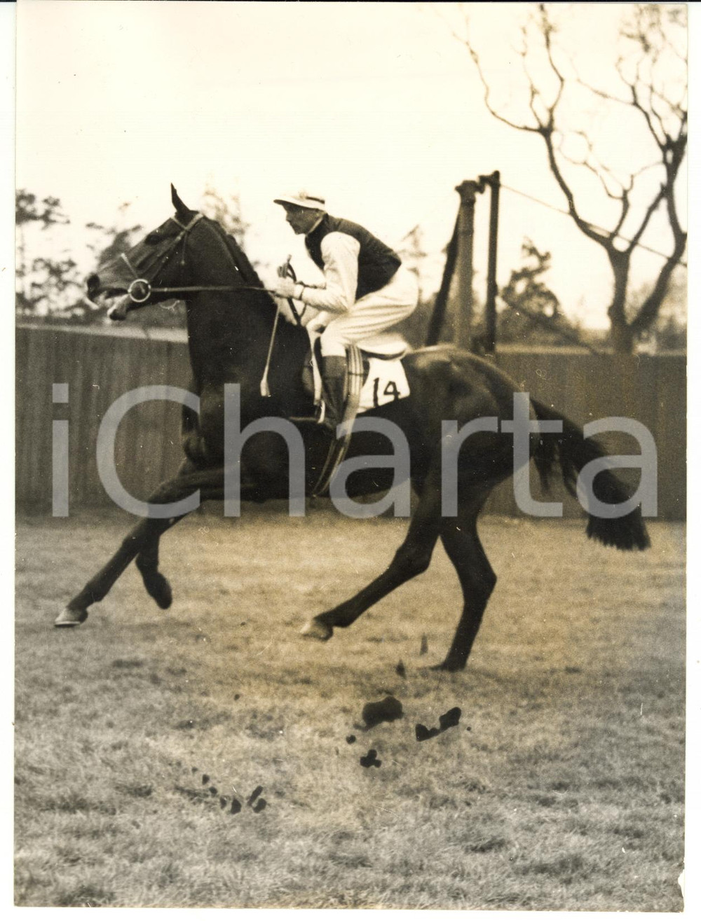 1956 HORSE RACING Derby entry RUSTAM ridden by Doug SMITH *Photo 15x20