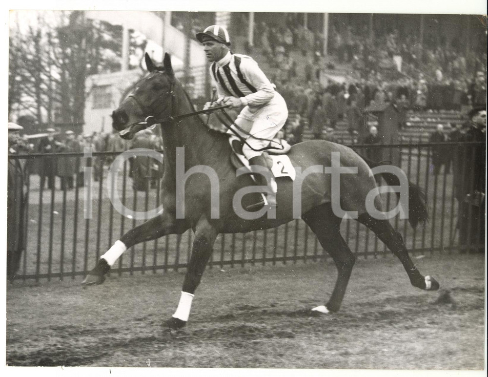 1958 HORSE RACING - Grand National entry VIGOR ridden by G. SMALL *Photo