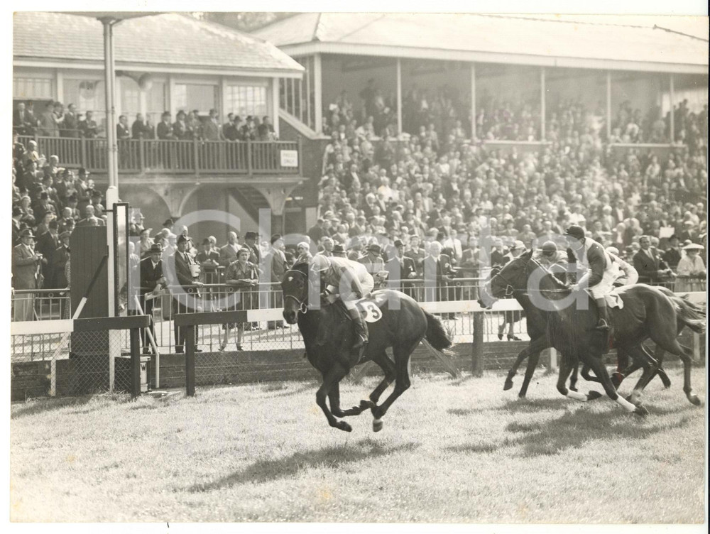 1956 WINDSOR Royal Borough Handicap - Scobie BREASLEY on MIDWEST *Photo 20x15