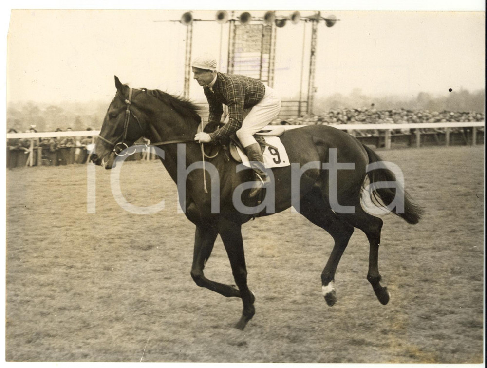 1954 EPSOM DERBY - INFATUATION ridden by Ken GETHIN *Photo 20x15