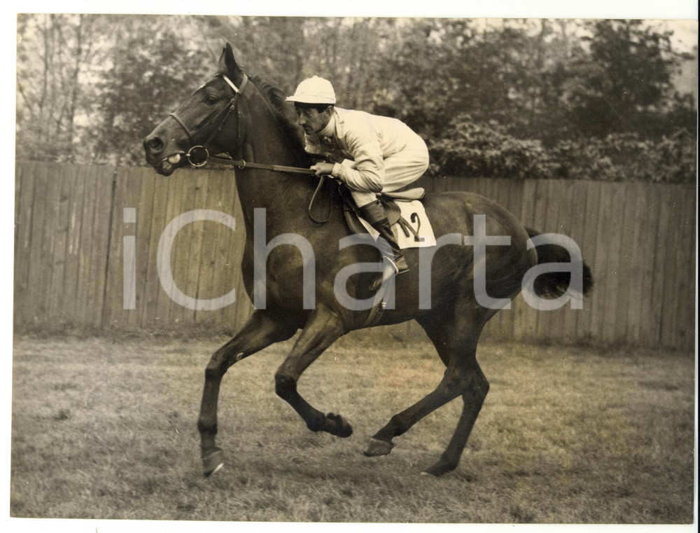 1957 HORSE RACING - SARCELLE trained by jockey Jack PURTELL *Photo 20x15