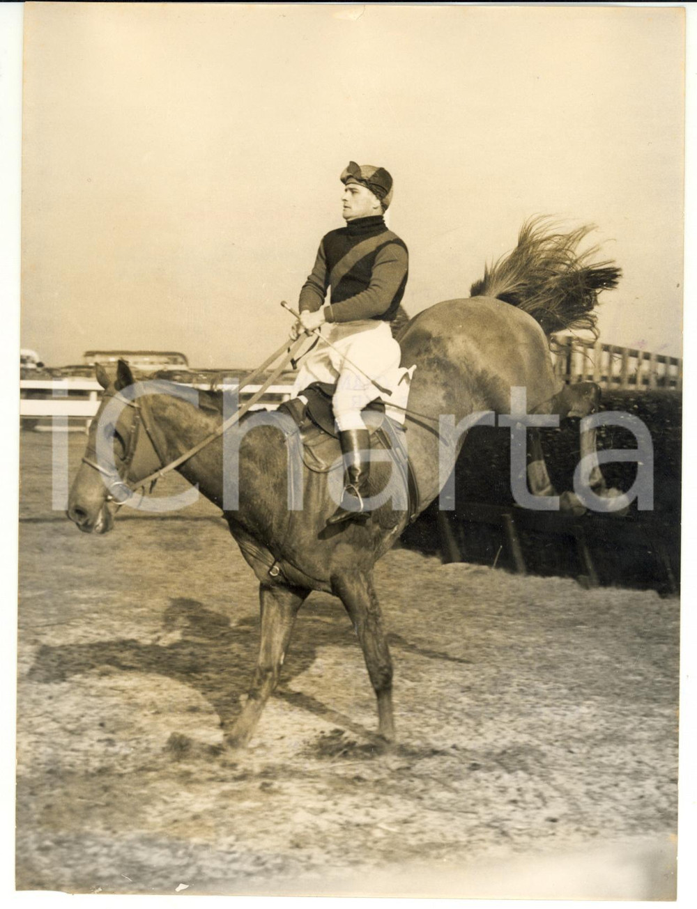 1956 HORSE RACING - PIPPYKIN trained by Jimmy POWER for the Great Chase *Photo