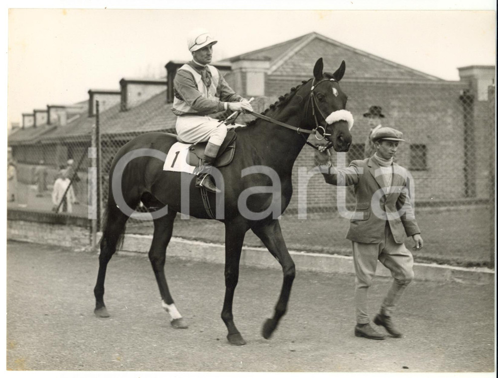 1957 NEWBURY - PIPE OF PEACE with Scobie BREASLEY in the saddle *Photo 20x15