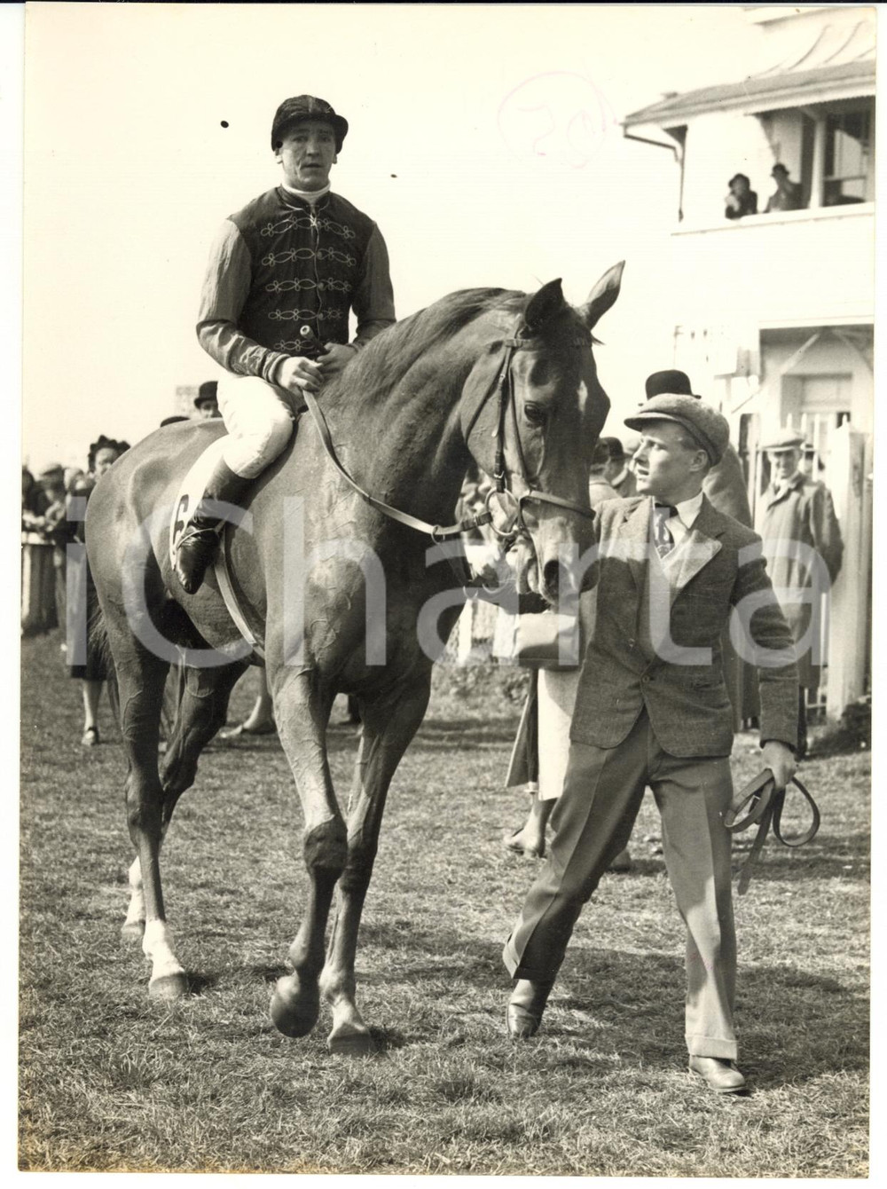 1954 HORSE RACING Manny MERCER riding ANGEL BRIGHT during training *Photo 15x20