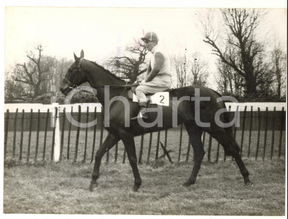 1957 HORSE RACING Robert MORROW on Grand National entry POINTSMAN *Photo 20x15