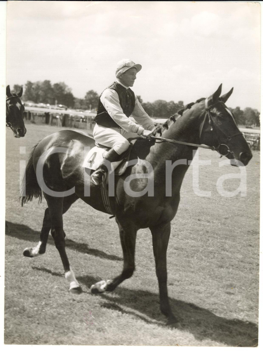1958 HORSE RACING Doug SMITH on TALISMAN during training *Photo 15x20