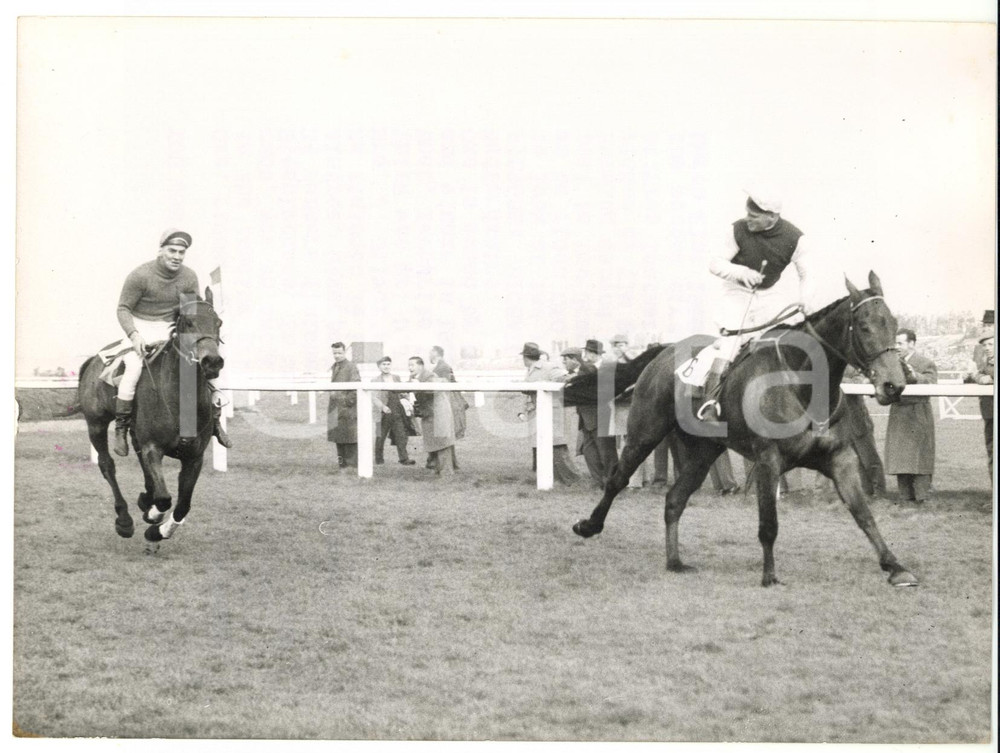 1959 AINTREE Grand National - Michael SCUDAMORE on OXO *Photo 20x15