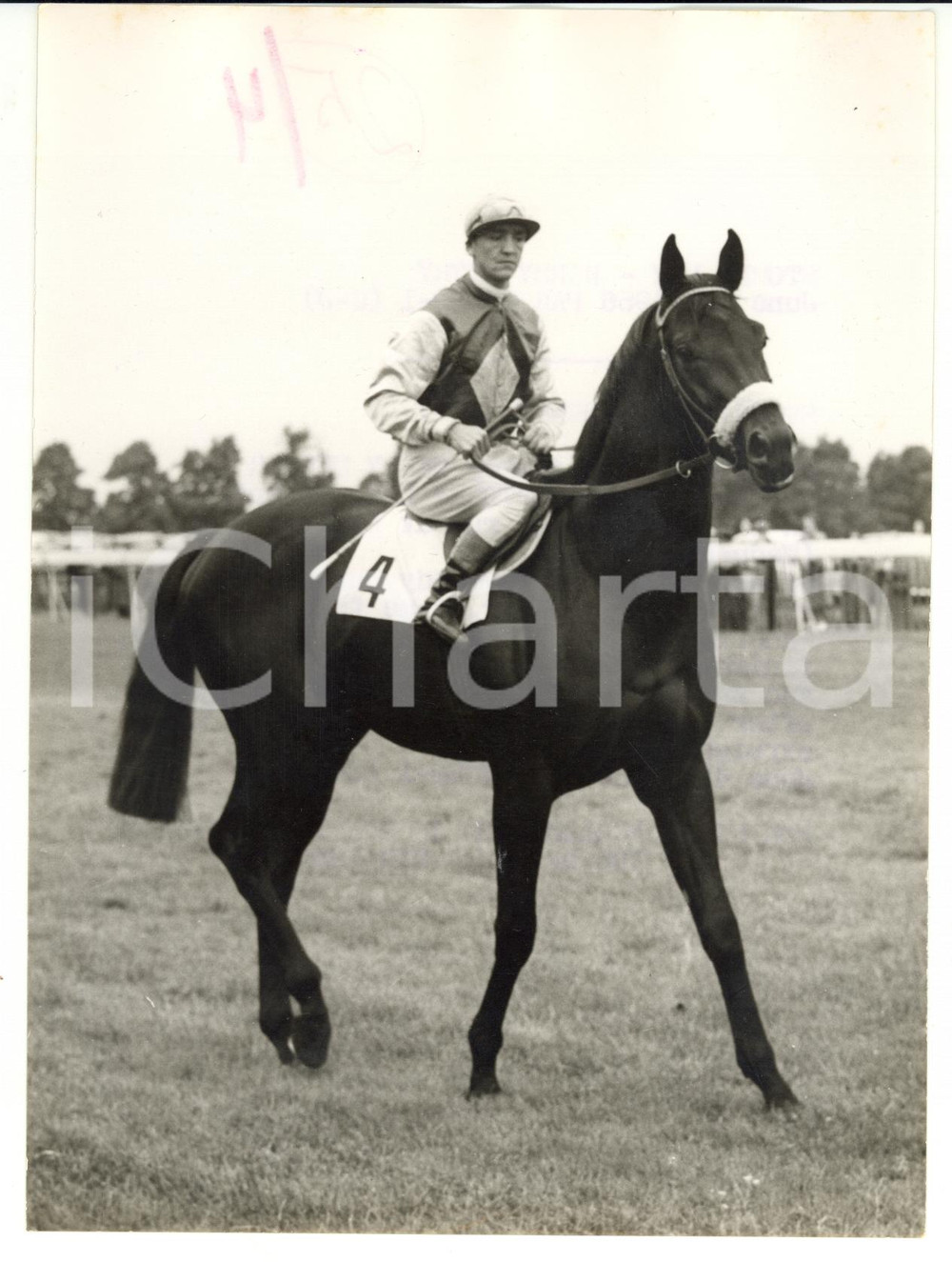 1956 EPSOM Manny MERCER on STONEY LEY before the Derby *Photo