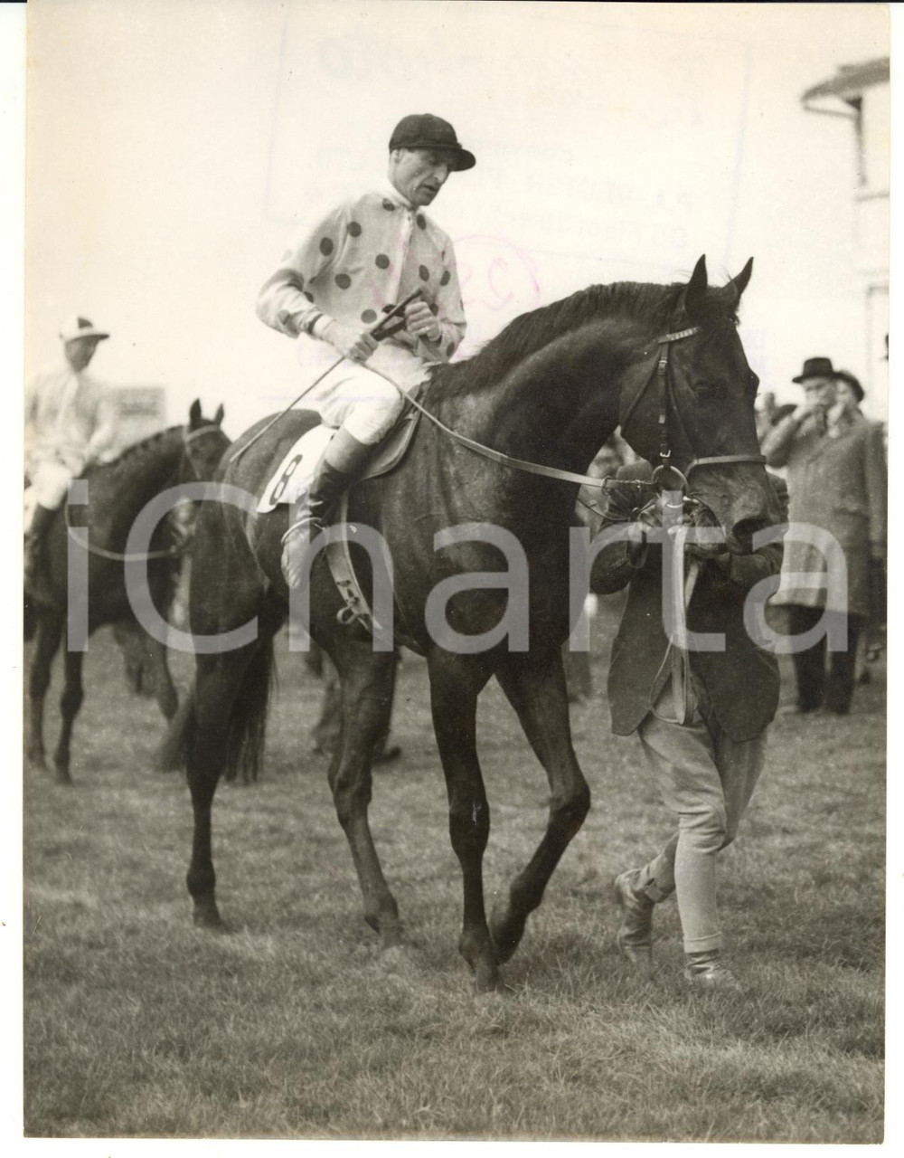 1954 HORSE RACING - Harry CARR on AMBLER II candidate for the Derby *Photo