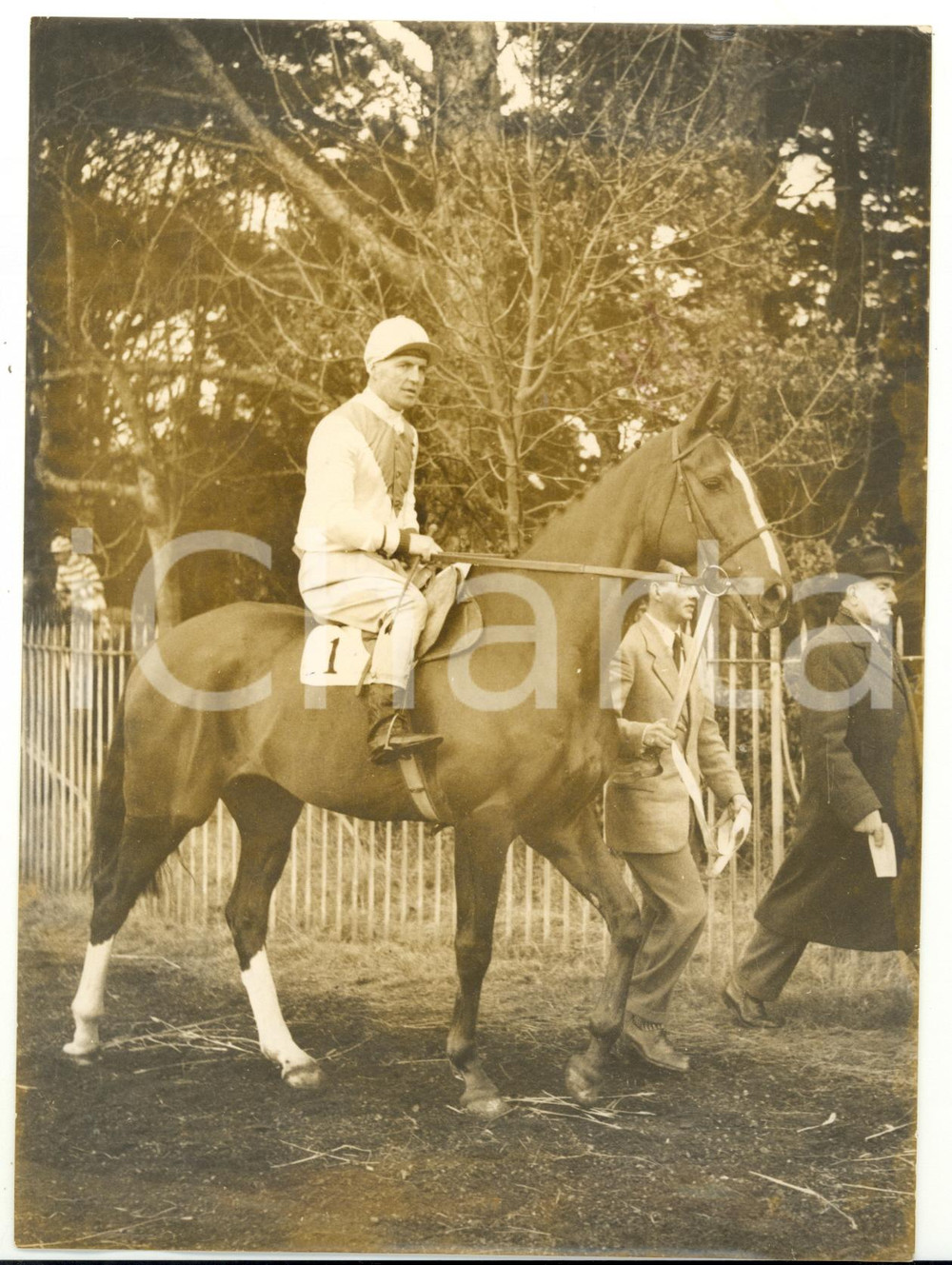 1954 HORSE RACING - KNOCK HARD with Tim MOLONY in the saddle *Photo 15x20