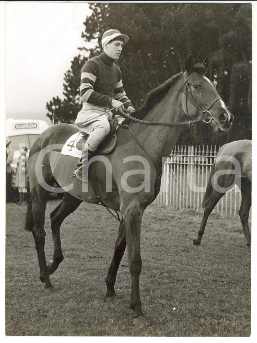 1959 HORSE RACING - MR. WHAT ridden by Tosse TAAFFE *Photo 15x20 cm