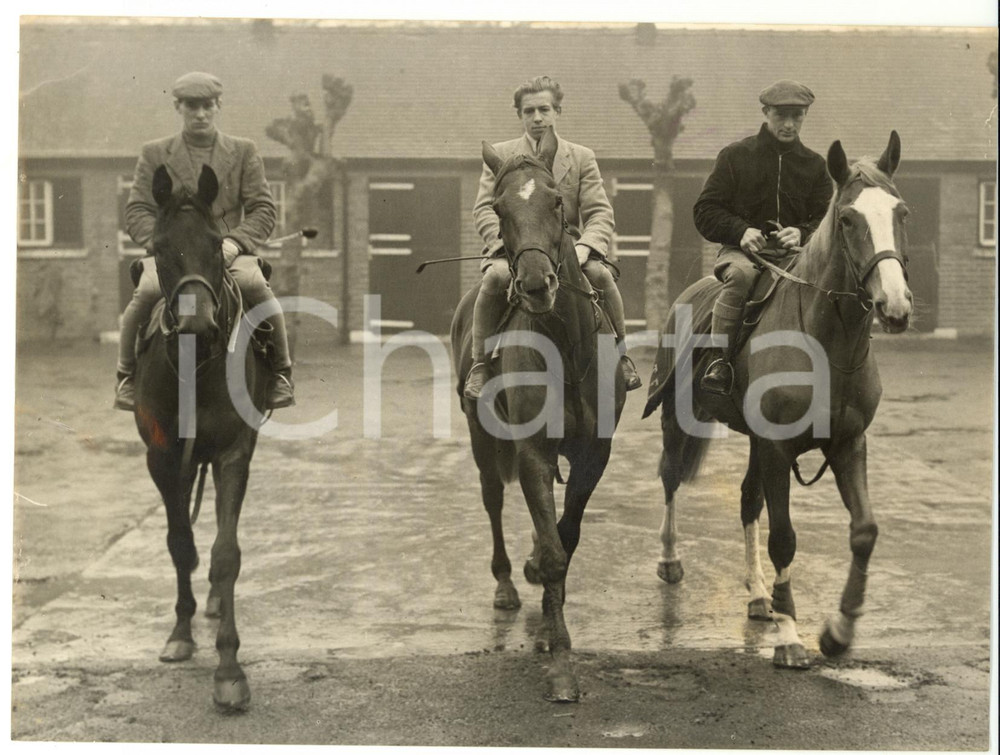 1954 HORSE RACING Gay Monarch - Quiet Naturally - Ordnance *Photo 20x15