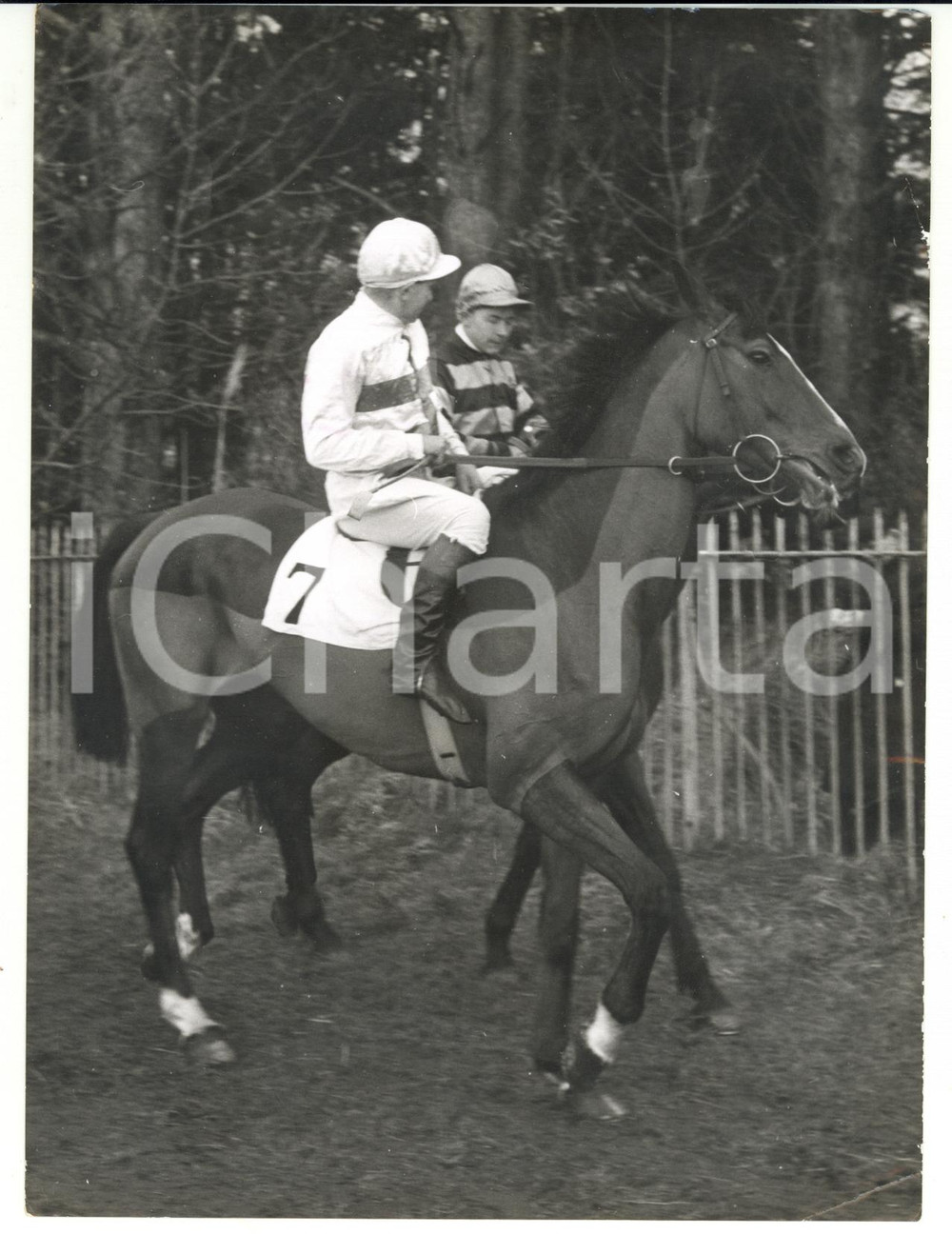 1959 HORSE RACING Grand National entry TOP TWENTY during an outing *Photo