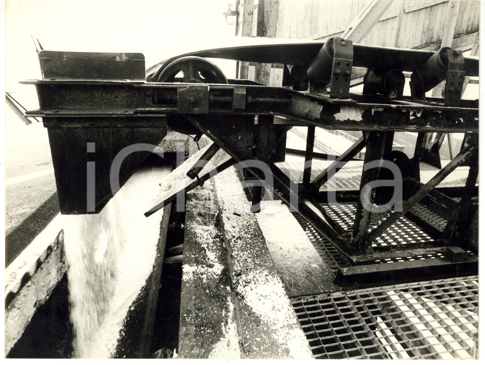 1965 ca PORTO DI GENOVA Operazioni scaricamento sale *Foto VINTAGE 24x18 cm