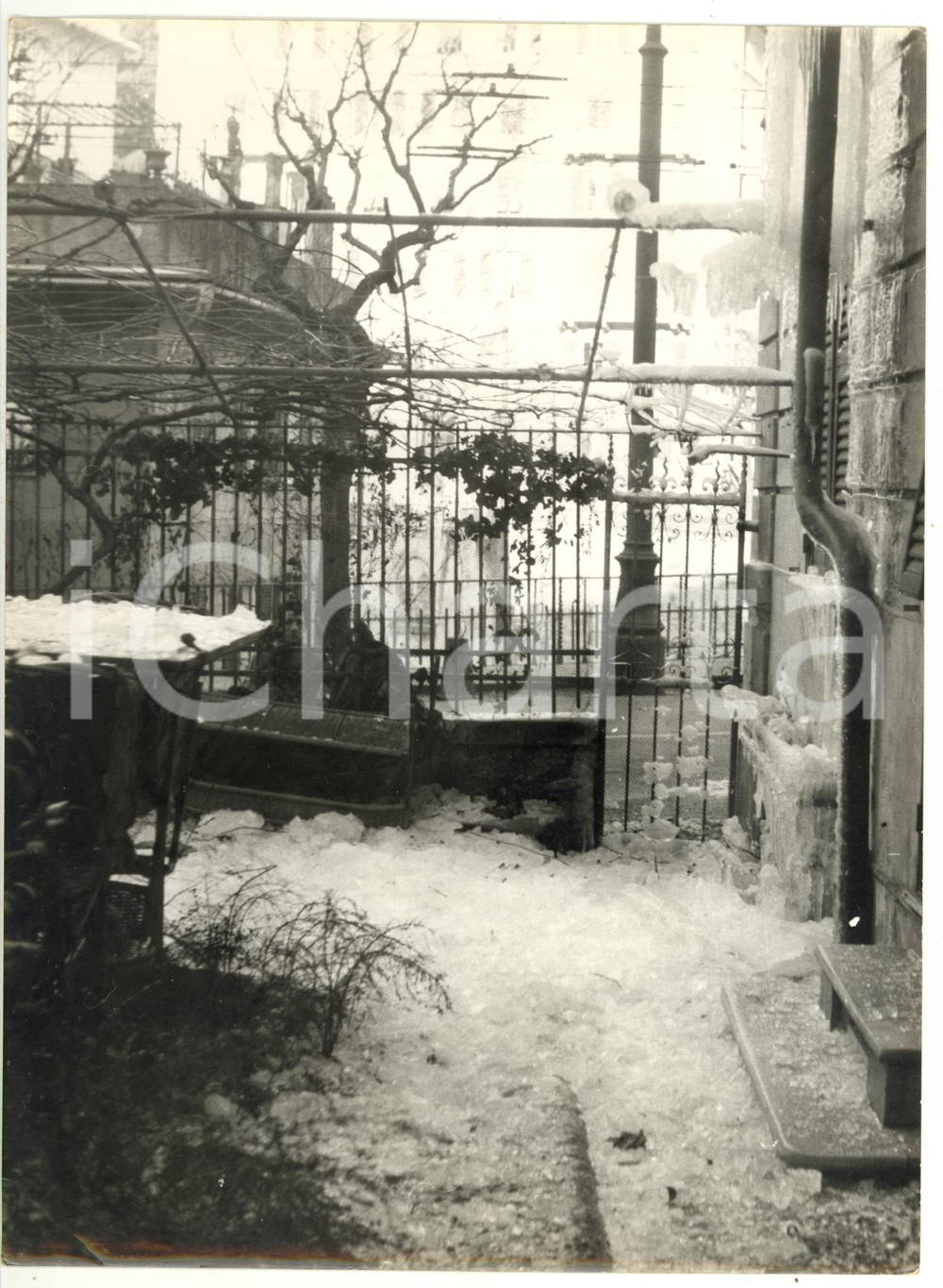 Inverno 1956 GENOVA Cortile ghiacciato *Foto VINTAGE 18x24