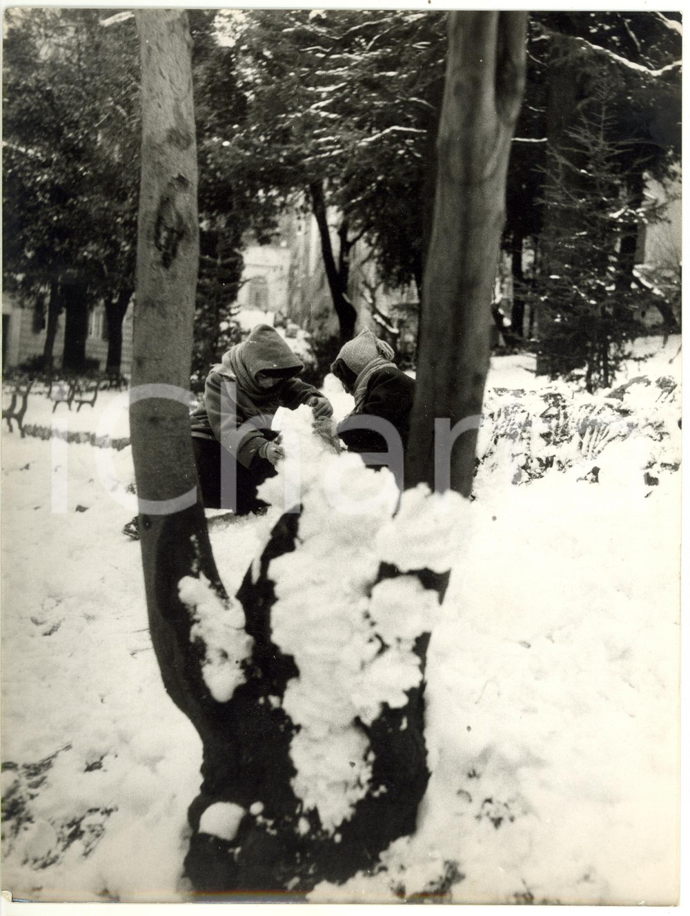 1956 GENOVA Bambini giocano al parco con la neve *Foto ARTISTICA 18x24 cm