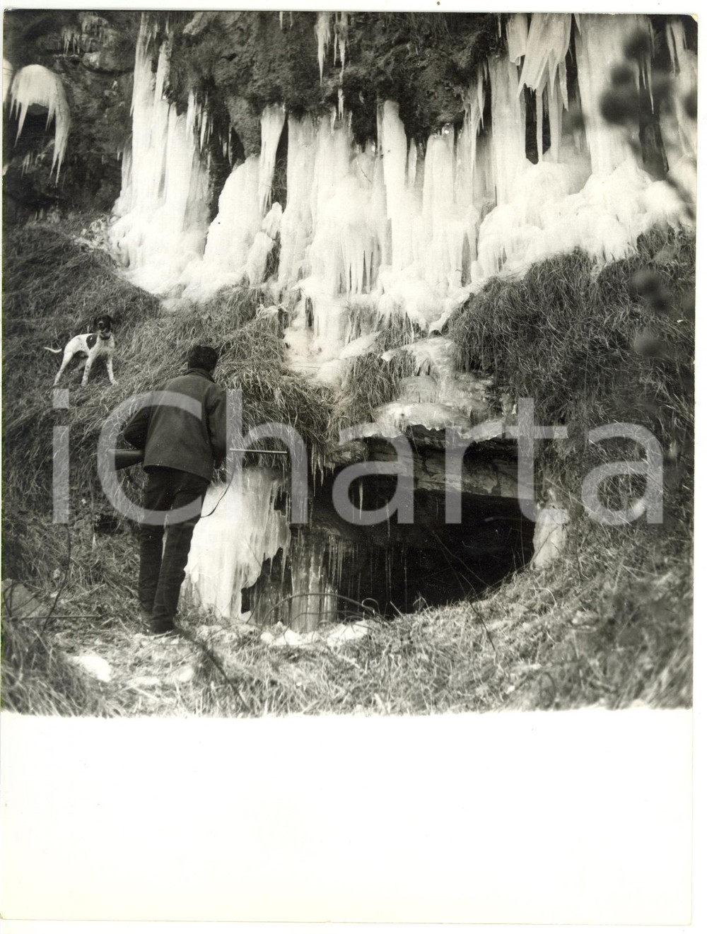 1956 GENOVA - MOLASSANA Battuta di caccia fra i ghiacci *Foto VINTAGE 18x24