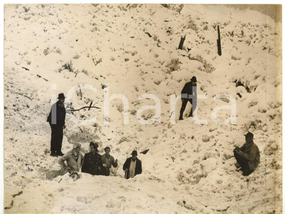 1954 SVIZZERA Operazioni di soccorso dopo una valanga *Foto 20x15