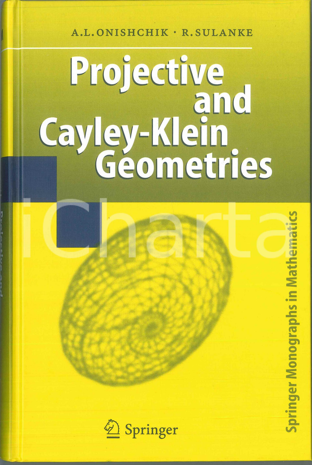 2006 Arkady L. ONISHCHIK Rolf SULANKE Projective and Cayley-Klein geometries Pubblicazione cartonata in lingua inglese.EDITORE: SpringerCOLLANA: Springer monographs in mathematics PAGINE: 432  FAIR/discreto Piccola macchia in quarta di copertina Formato: 16x24 cm originale e autentica 1