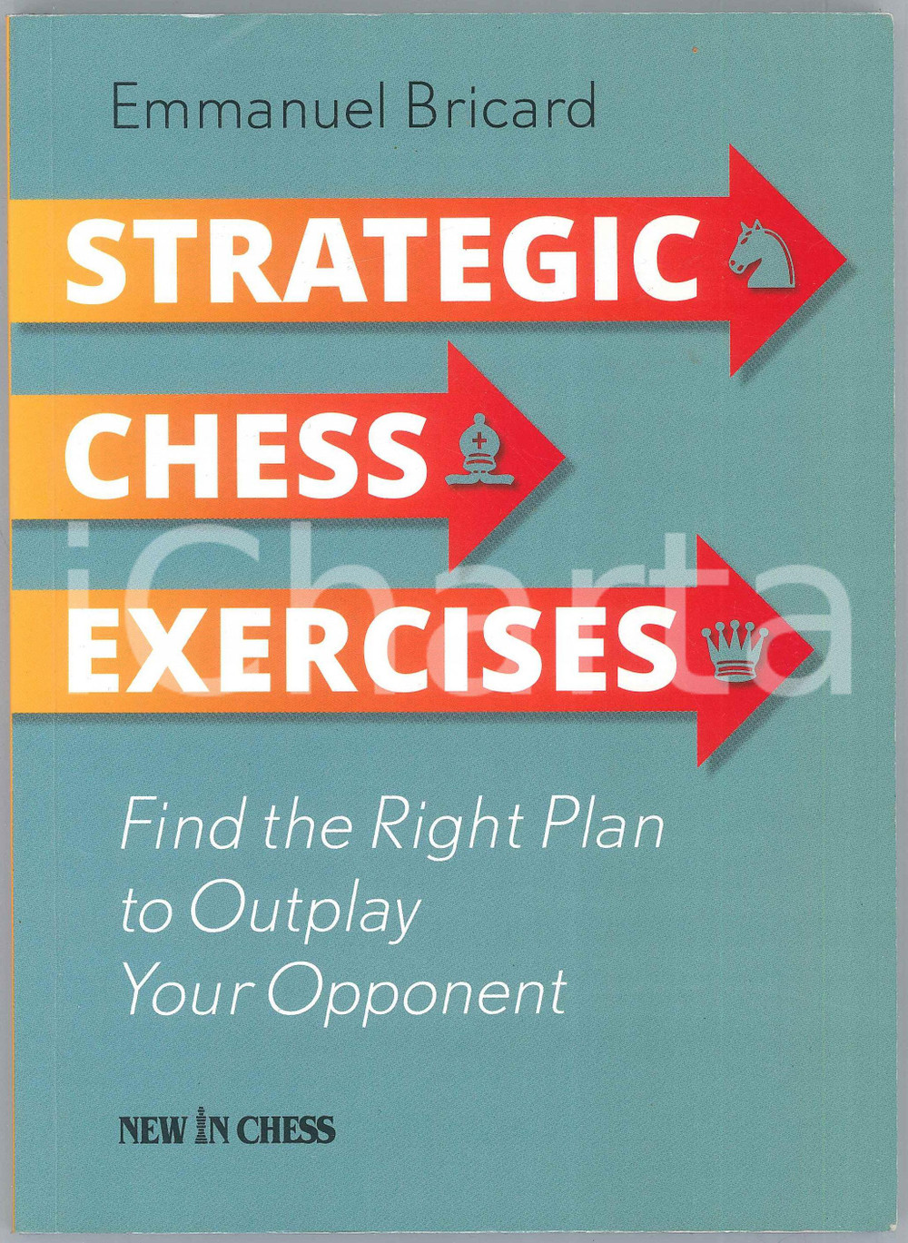 2018 Emmanuel BRICARD Strategic Chess Exercises