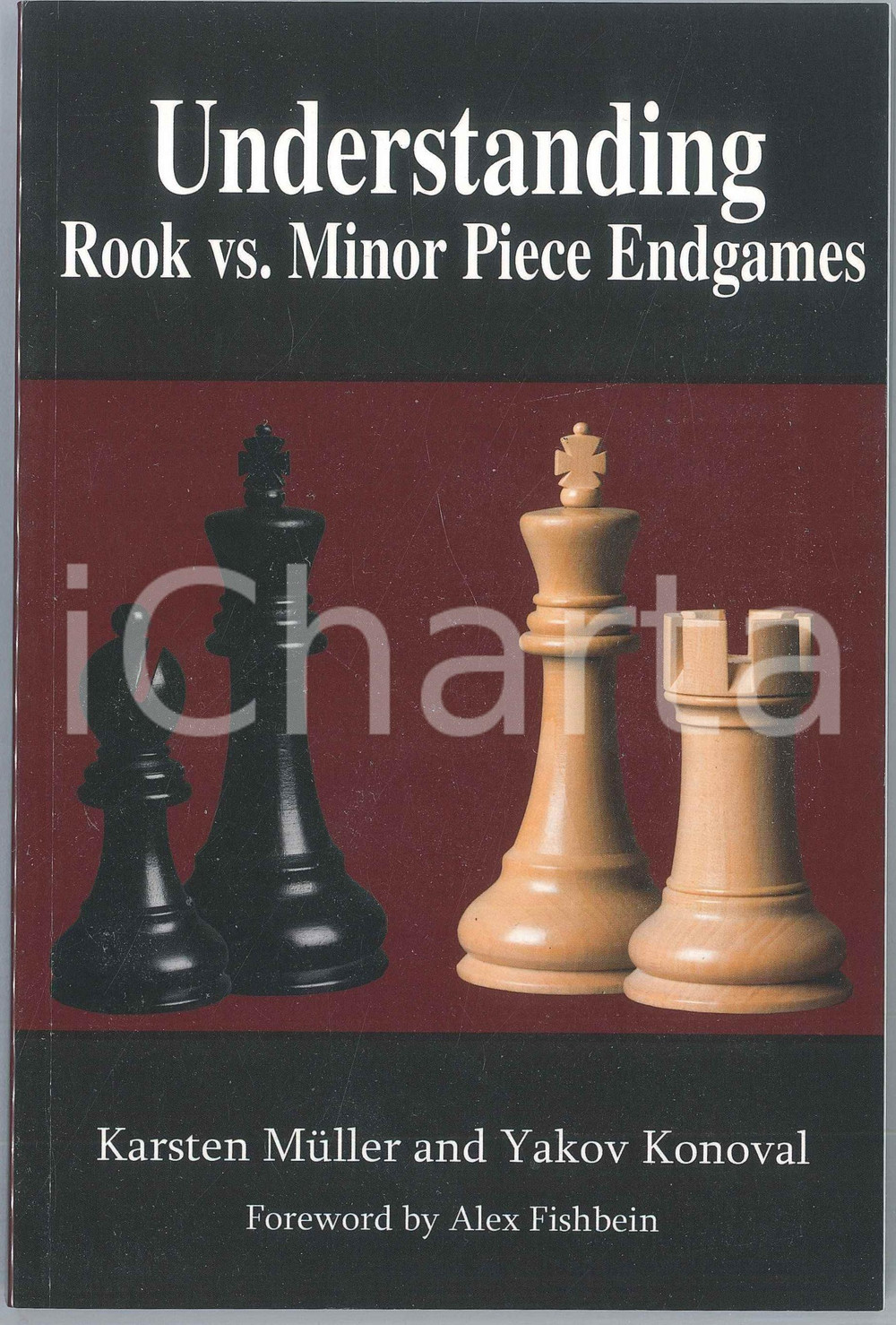 2019 Karsten MÜLLER Yakov KONOVAL Understanding Rook vs. Minor Piece Endgames