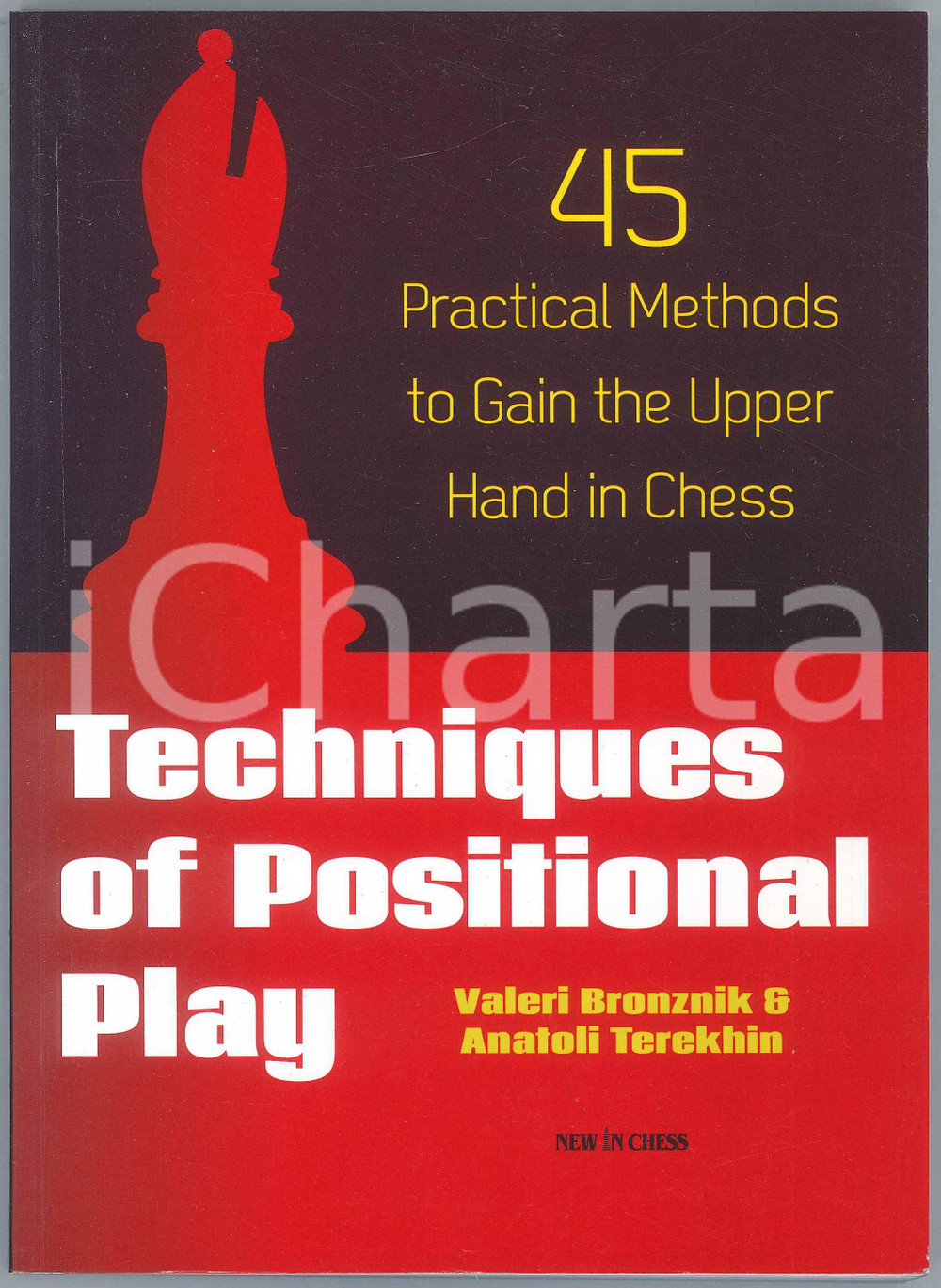 2013 Valeri BRONZNIK & Anatoli TEREKHIN Techniques of Positional Play