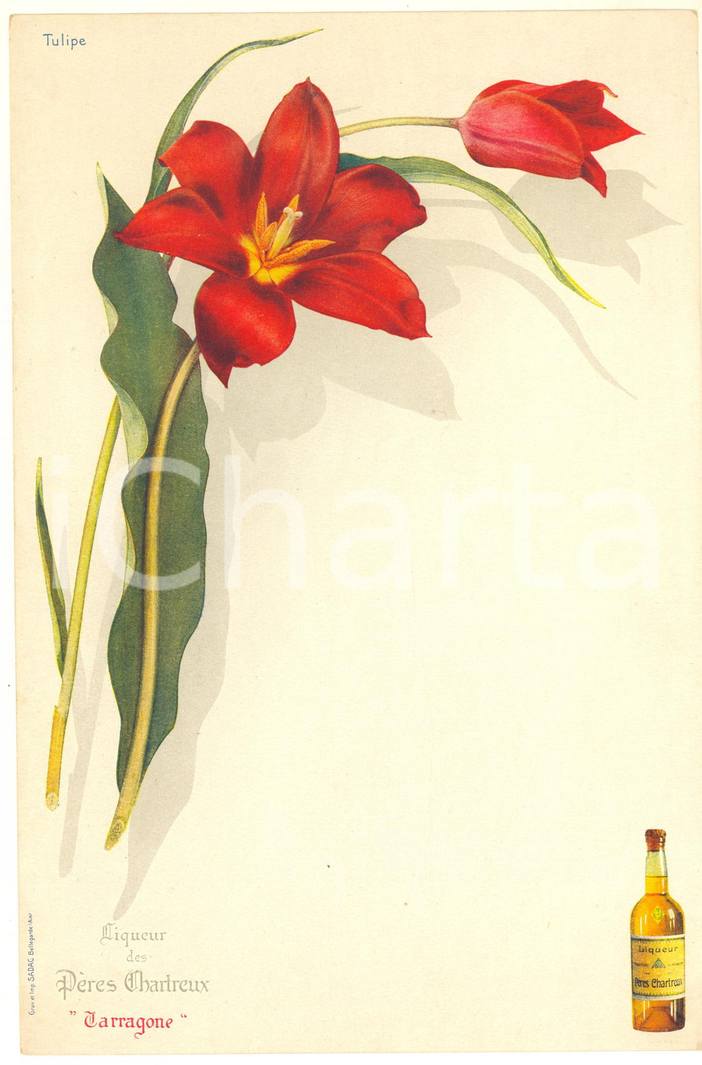 1920 ca FRANCE Liqueur PERES CHARTREUX Tarragone - Vintage menu TULIPE